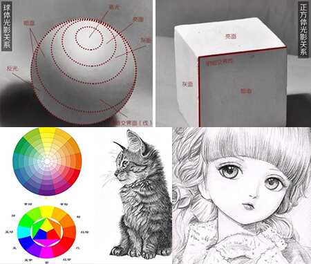 球速体育真人游戲第一品牌